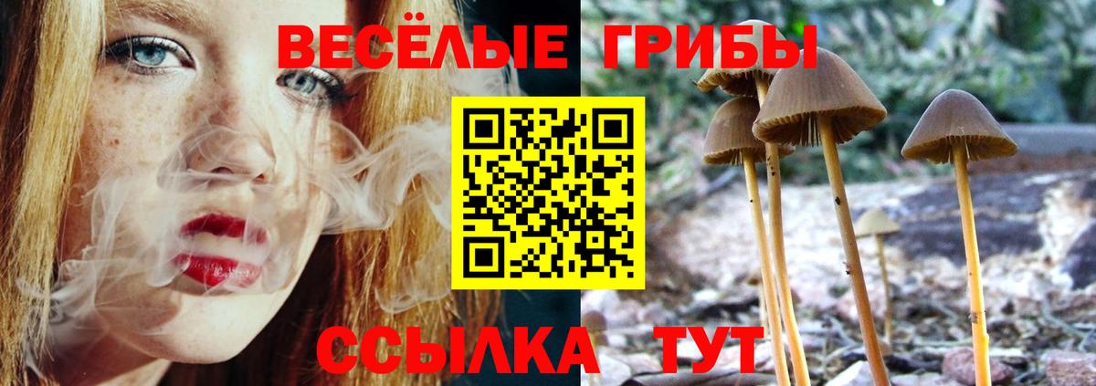 Галлюциногенные грибы GOLDEN TEACHER  Вход с VPN  Кандалакша 